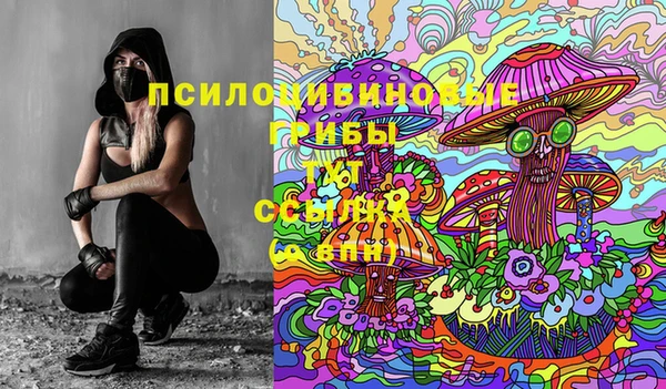 гидра Остров